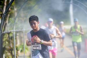 BIB: 
                            <button type="button" onclick="openModal(26544031)" class="btn btn-primary btn-sm float-right btn-popup" data-toggle="modal" data-target=".modal-high-quality">
                        <i class="fas fa-shopping-cart"></i> Add to Cart
                    </button>
                                            <button type="button" onclick="isThisMe(26544031, true)" class="btn btn-success btn-sm float-right btn-popup btn-isme hidden" data-toggle="tooltip" data-placement="bottom" title="นี่คือรูปของคุณใช่ไหม คลิกที่นี่เพื่อเอาเข้าอัลบั้ม">
                        <i class="fas fa-plus"></i> Add to album
                    </button>
                    <button type="button" onclick="isThisMe(26544031, false)" class="btn btn-warning btn-sm float-right btn-popup btn-isnotme hidden">
                        <i class="fas fa-ban"></i> Remove from album
                    </button>